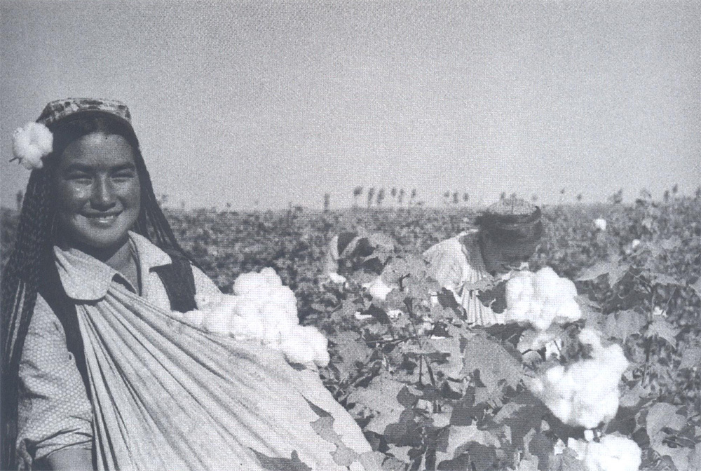 [^]Cotton picking[^]. Old photos from Central Asia, by Beznosov.